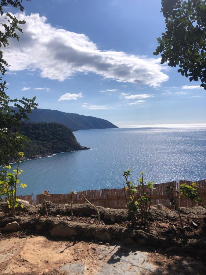 Kabak Uetopya Kamp Faralya Zewnętrze zdjęcie